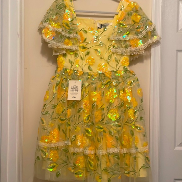 JessaKae | Dresses | Jessakae Dress Bramble Dress Brand New | Poshmark